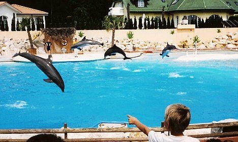 Poisoning suspected after second dolphin death at Swiss fun park