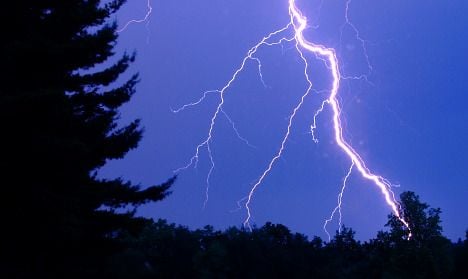 Lightning strike kills 15 cows