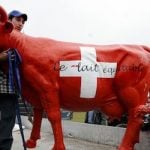 Blow to Swiss farmers as price of milk drops
