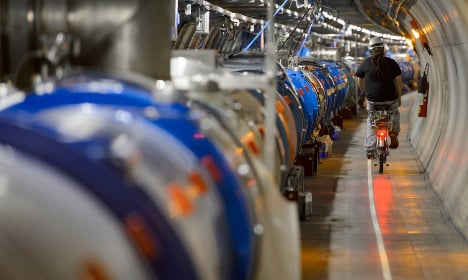 Rogue weasel shuts down Switzerland’s Hadron Collider