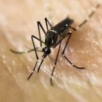 Confirmed cases of Zika virus soar in Switzerland