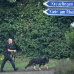 Swiss chainsaw attacker still on the run