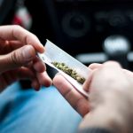 Swiss government backs scientific trials into cannabis use