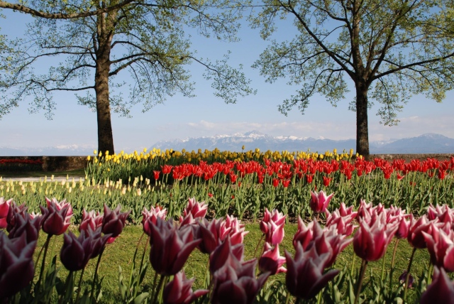 IN PICS: Ten beautiful views of Switzerland in spring