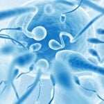 Semen quality of young Swiss men 'in critical state'