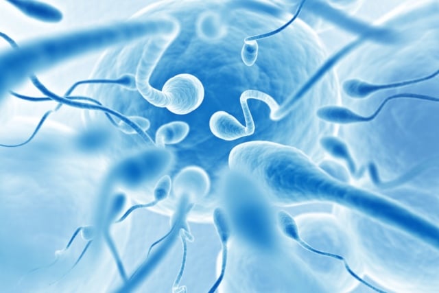 Semen quality of young Swiss men ‘in critical state’