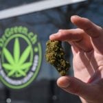 Swiss smoke ‘legal cannabis’ in record amounts