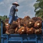 What you need to know about Switzerland’s ‘palm oil’ referendum