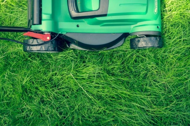 A lawn mower cuts green grass 